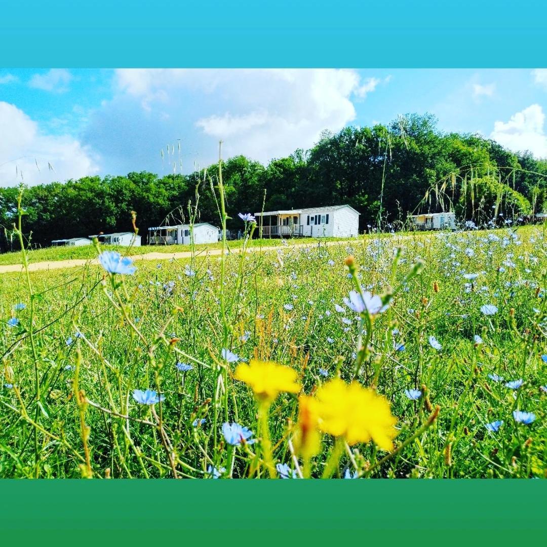 Camping Nature Le Valenty Mobil-Home-Dordogne Panoramique Clim Piscine Soturac Exteriér fotografie